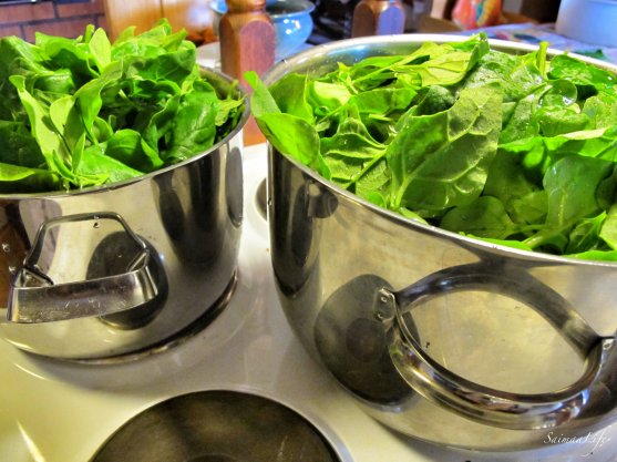 How to freeze spinach - SaimaaLife