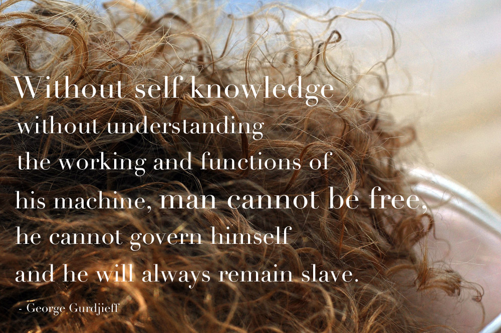 Let Self-Knowledge To Guide Your Life - SaimaaLife