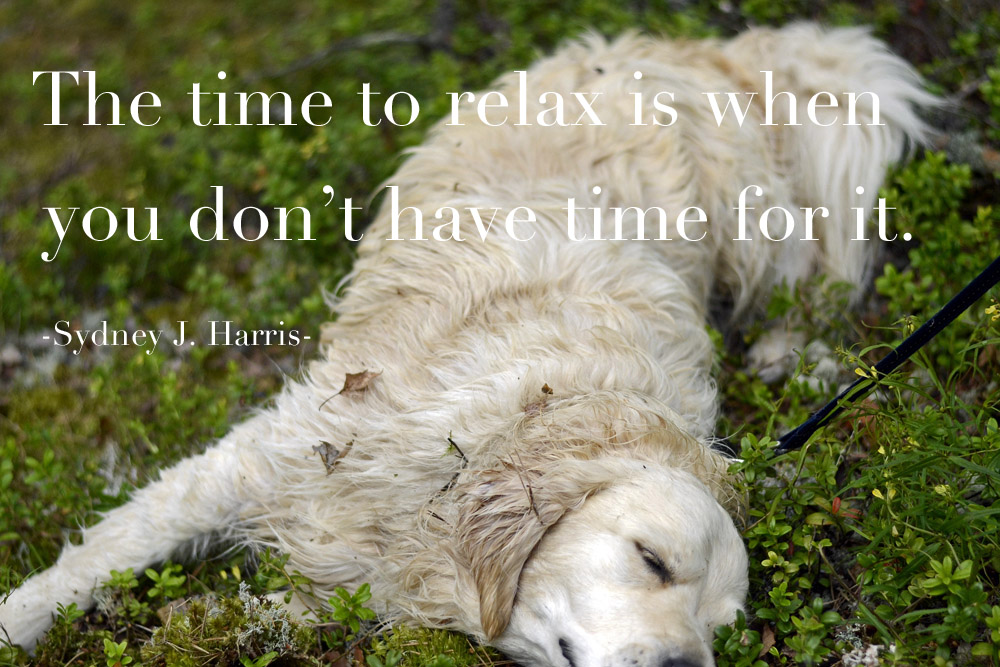 the-time-to-relax-is-when-you-do-not-have-time-for-it