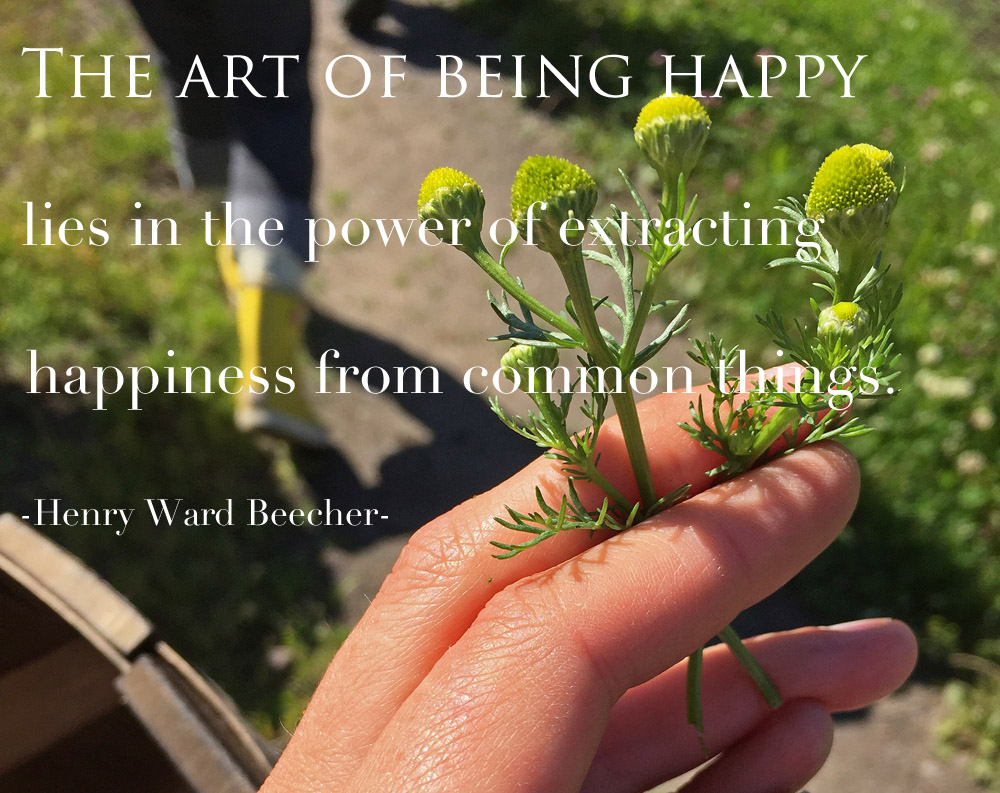 the-art-of-being-happy-quote