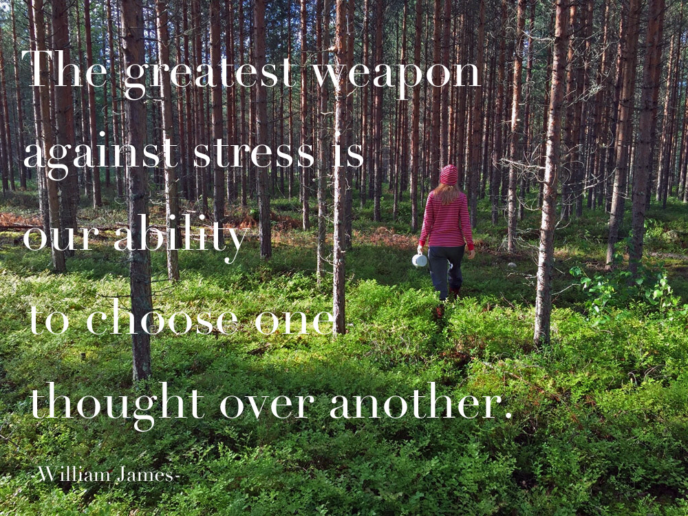 the-greatest-weapon-against-stress-quote