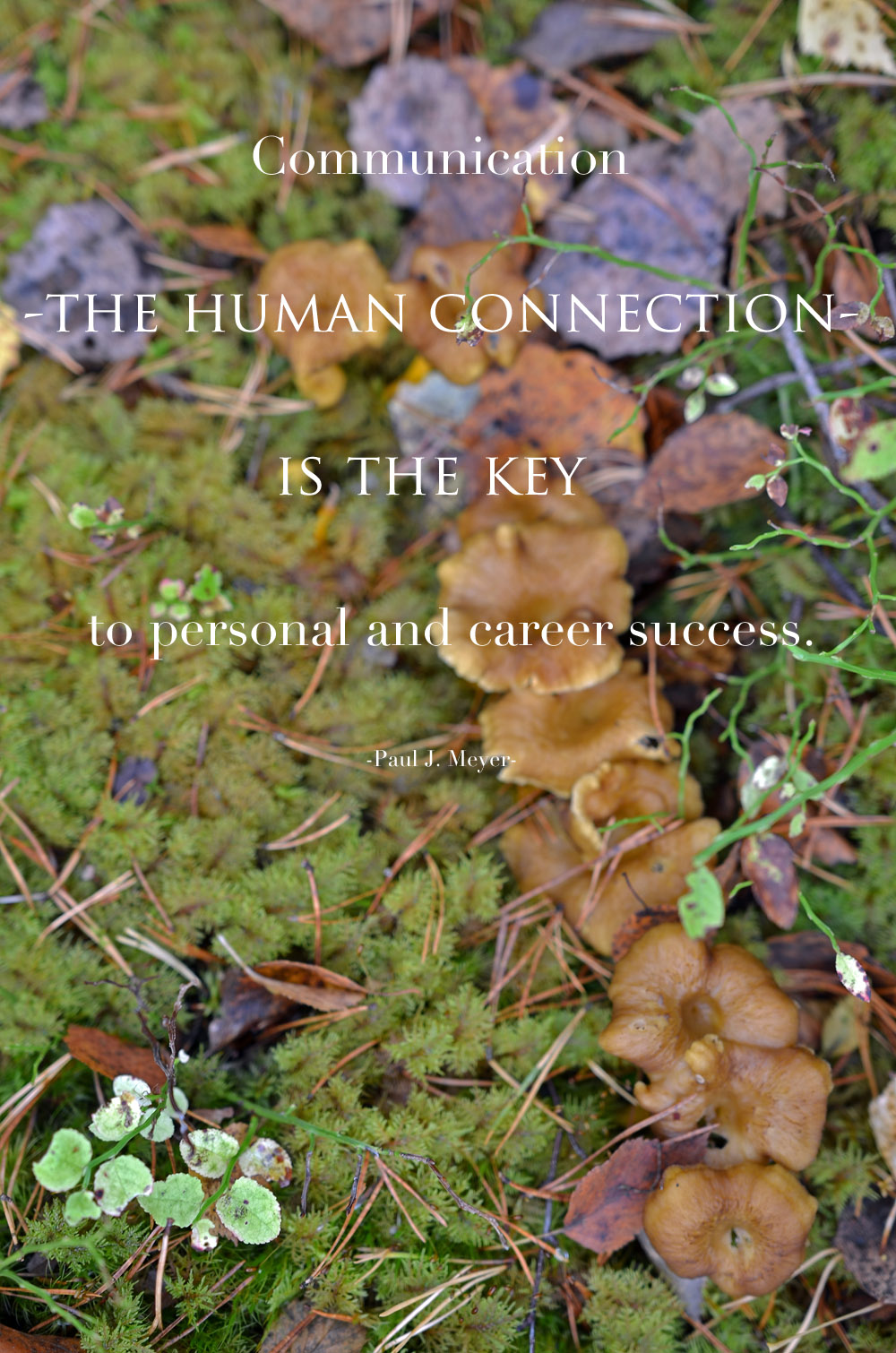 human-connection-is-the-key-to-success