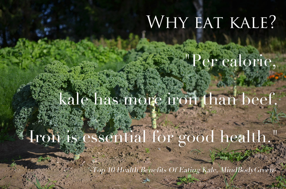 reasons-to-eat-kale
