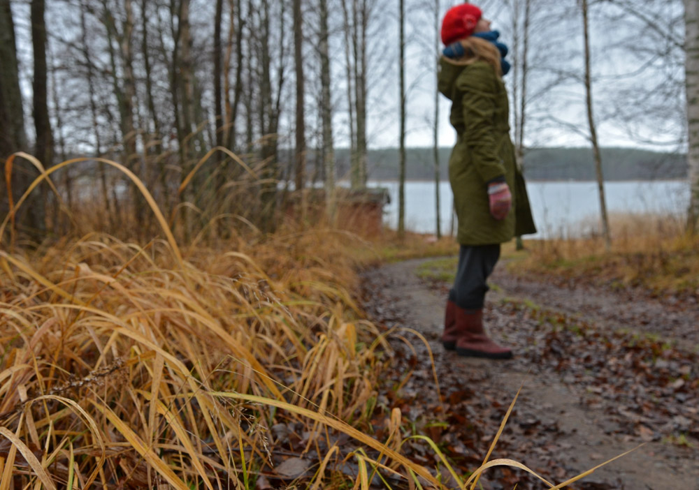 an aimless wandering man or woman