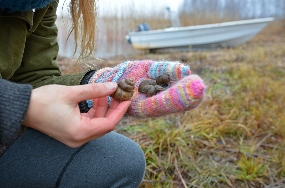 Aimless Wandering And Wondering Technique Snail Shells