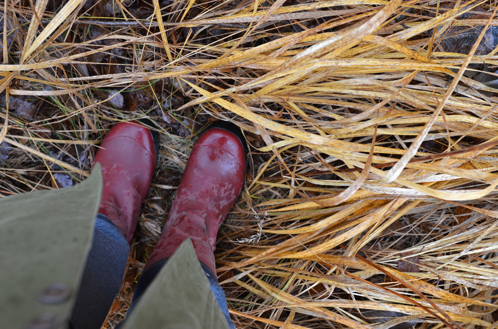 Aimless Wandering And Wondering Technique Wet Feet