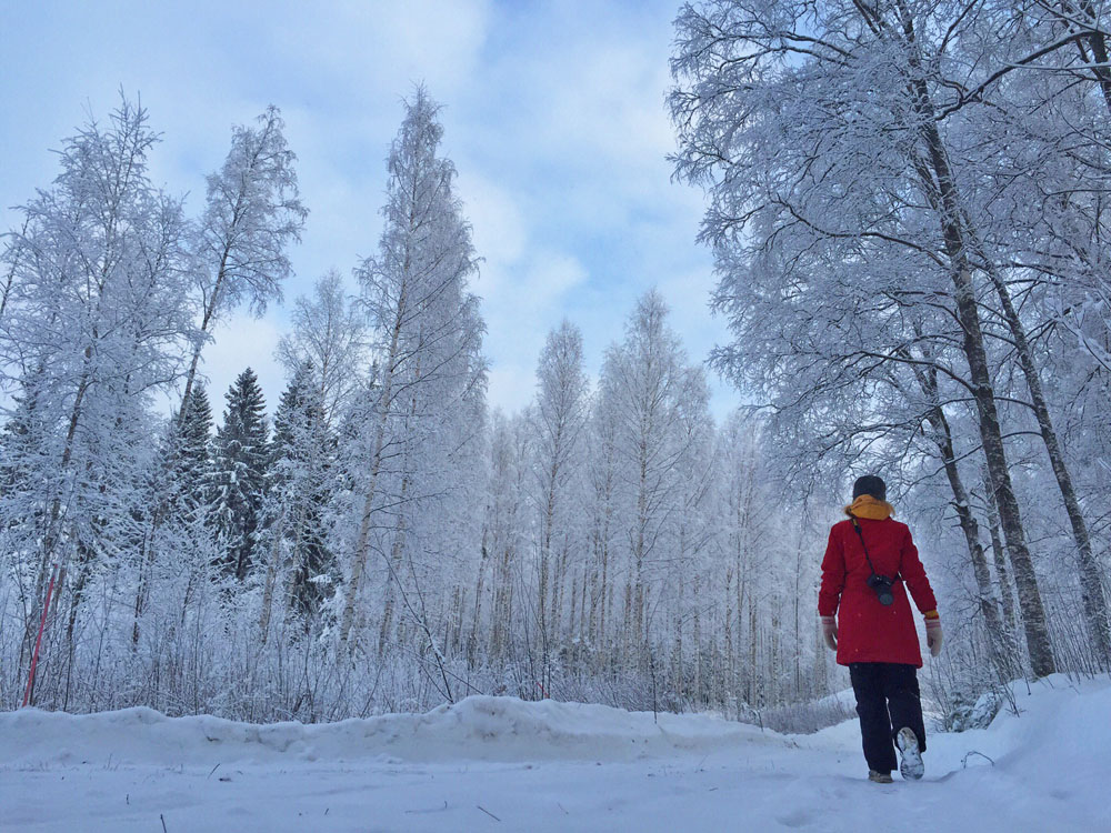 WINTER-WALKING