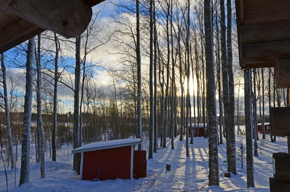 natural-rhythm-in-winter-nature