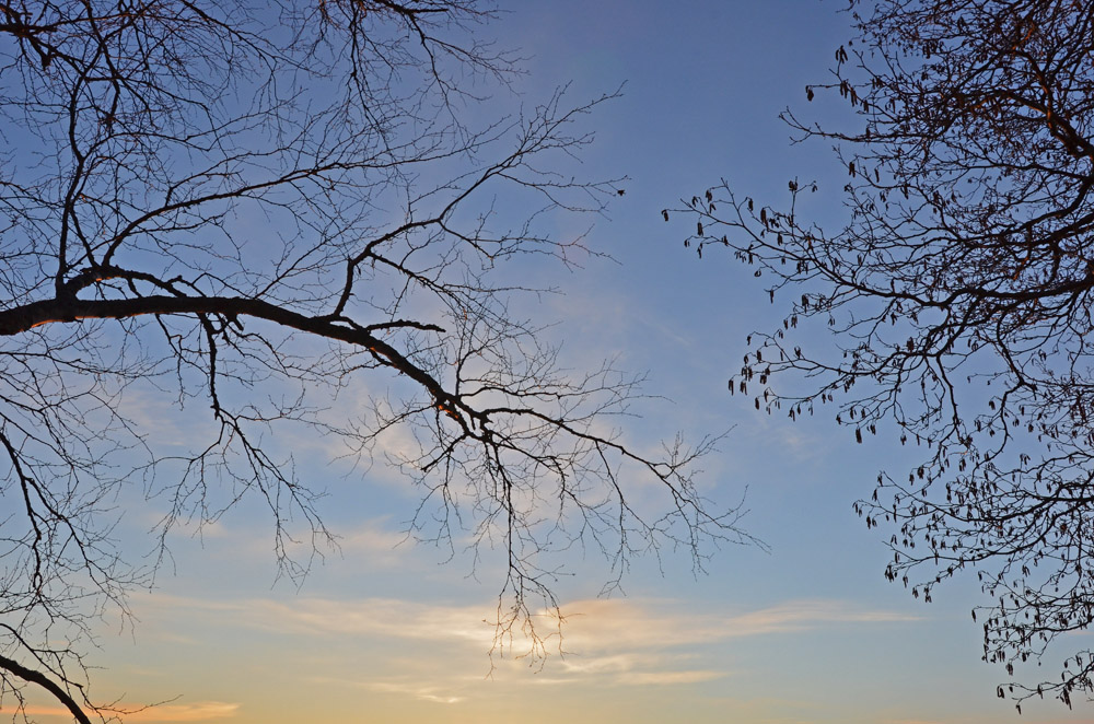 peace-of-nature-and-blue-spring-sky