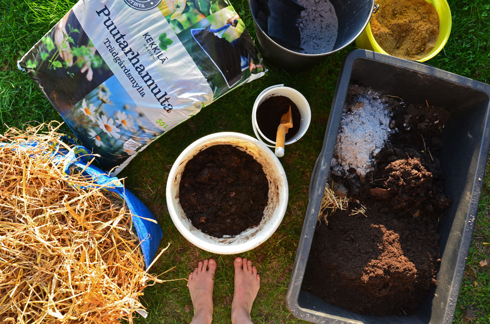 ingredients-for-vegetable-garden