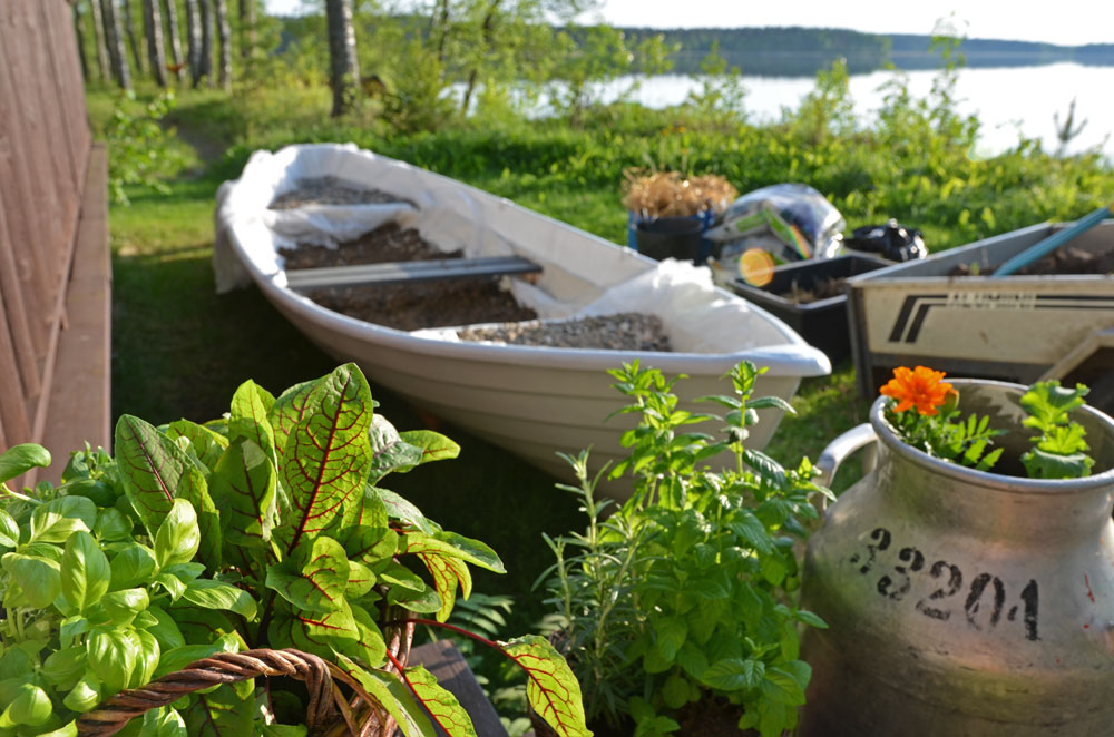 planting-vegetable-garden-in-boat