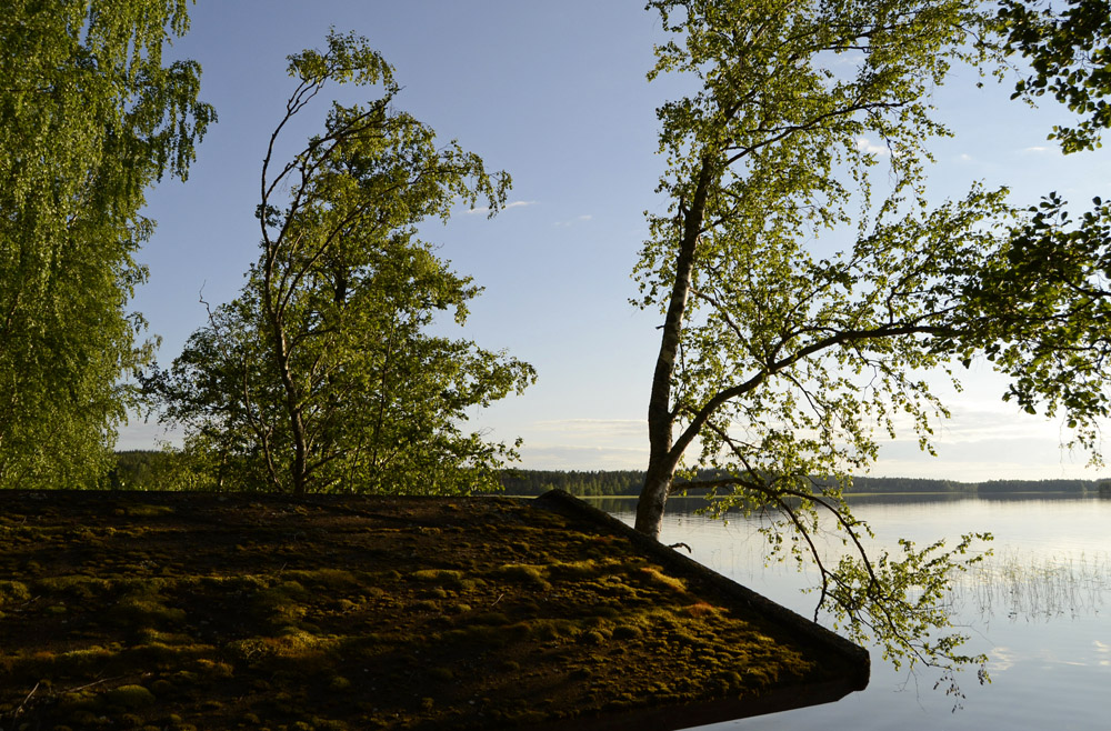 finnish-summer-nature-and-smoke-sauna