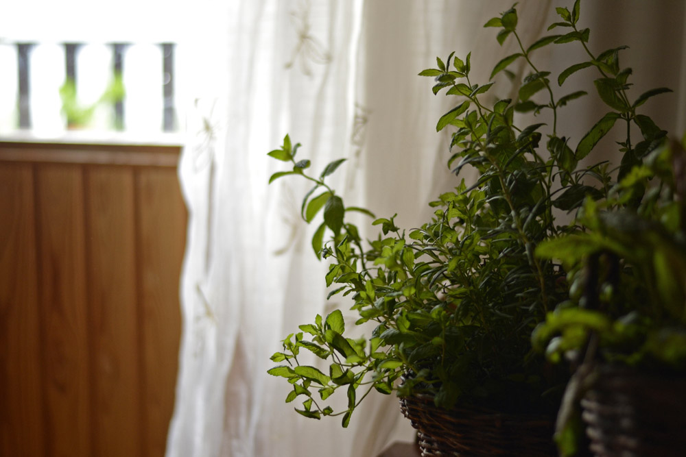 rainy-summer-day-indoors