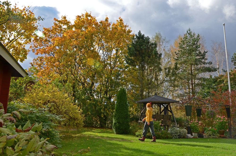 autumn-day-outdoors-saimaalife