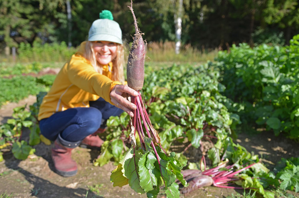saimaalife-mari-pennanen-in-the-vegetable-garden-with-beetroot