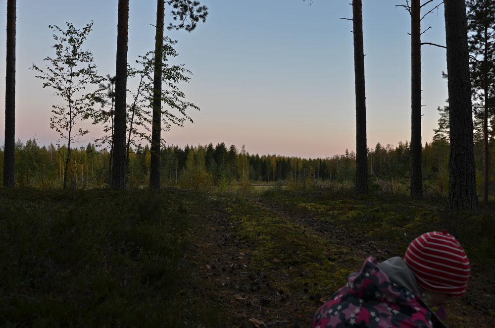 child-playing-in-forest