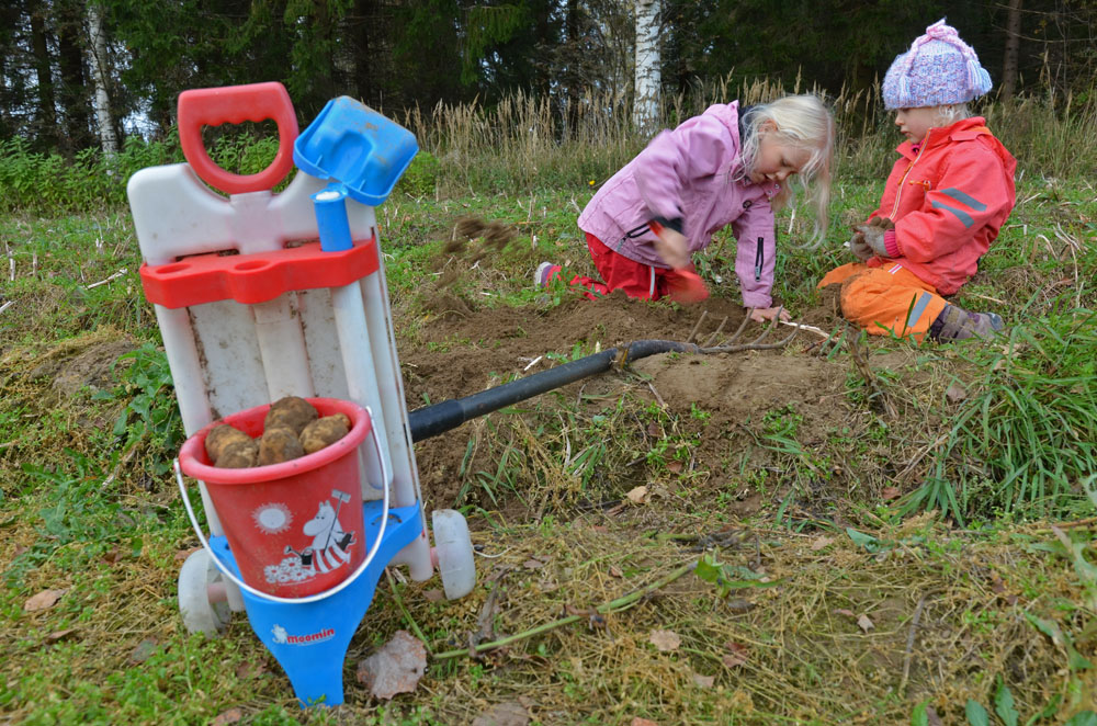 children-working-in-the-vegetable-garden