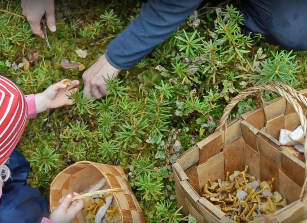 father-and-child-picking-mushrooms-saimaalife