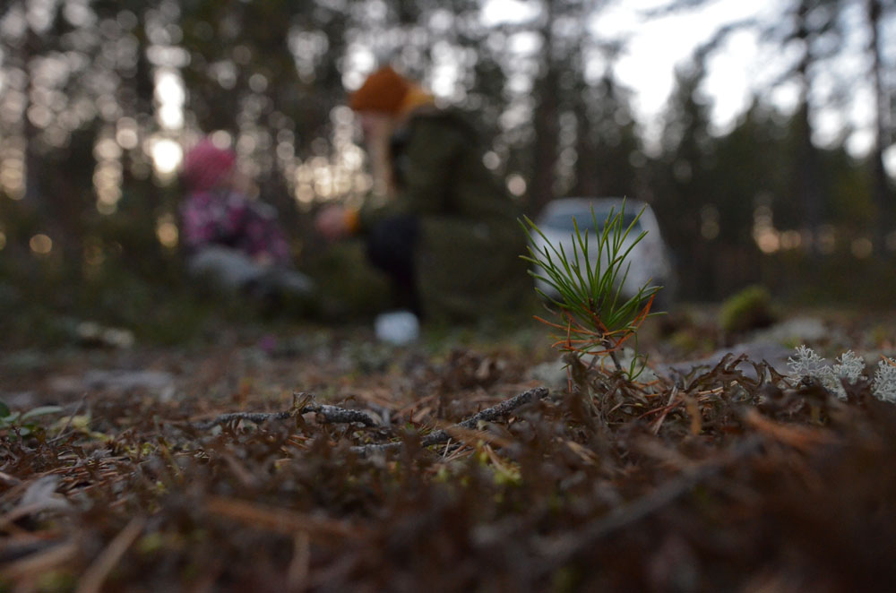 mother-and-child-in-forest