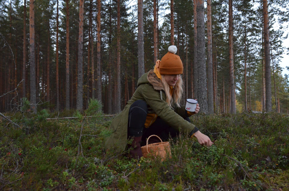 saimaalife-mari-picking-lingonberries