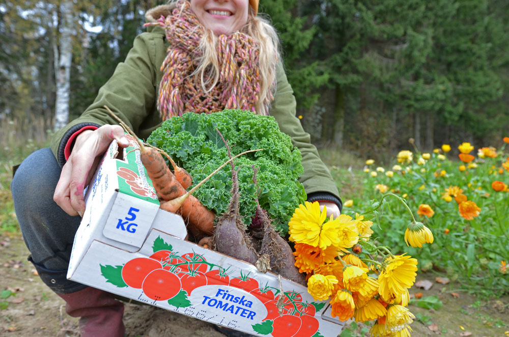 saimaalife-vegetable-garden