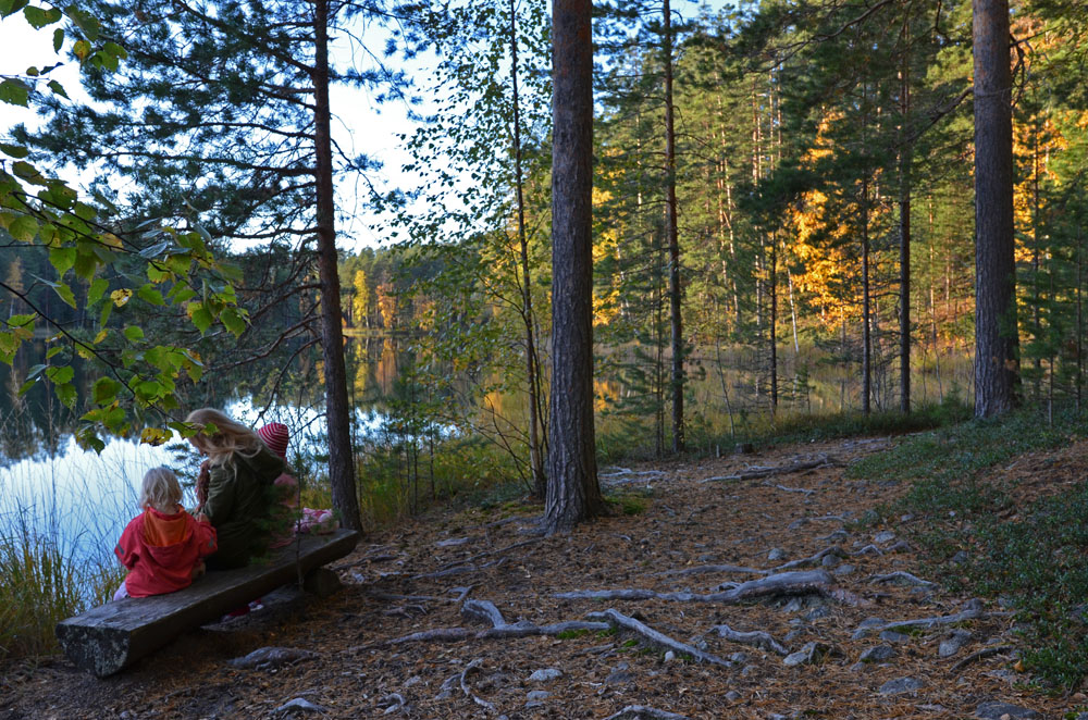 family-visiting-punkaharju-nature-area