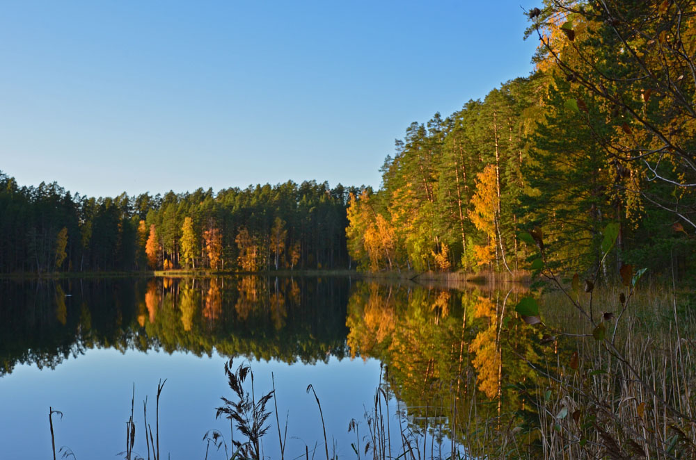 punkaharju-nature-saimaalife