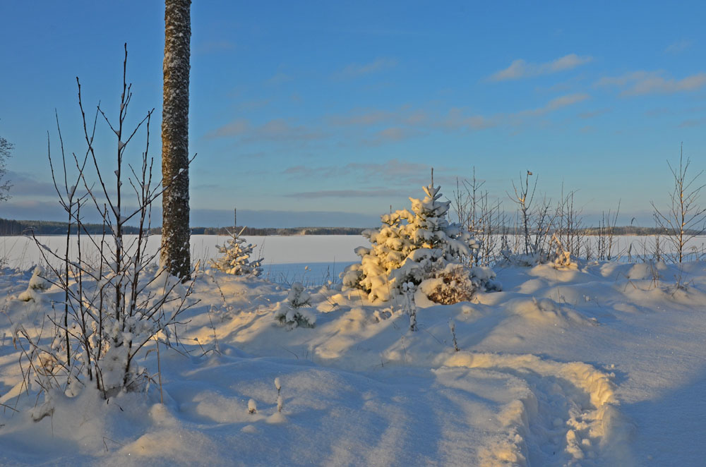 finland-winter-saimaalife