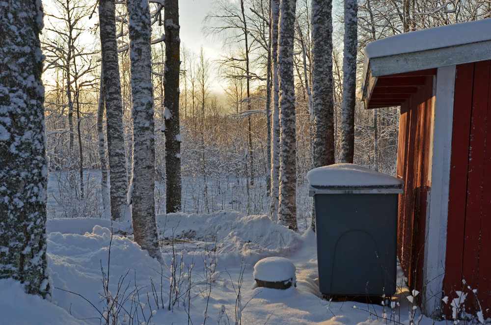winter-morning-finland