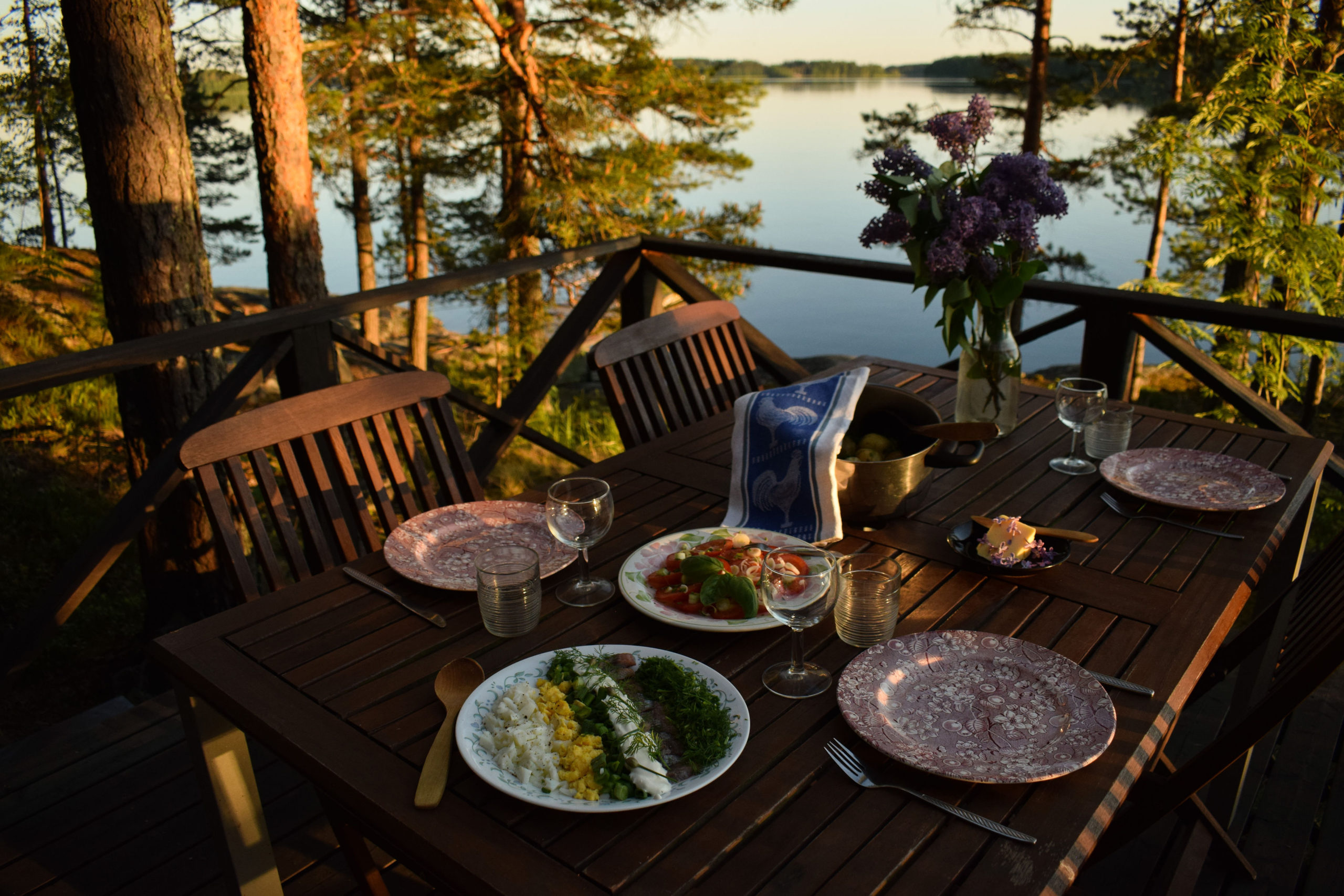 Lakeside terrace view at Kukkoniemen Lomamökit rental cottages in Punkaharju, Saimaa