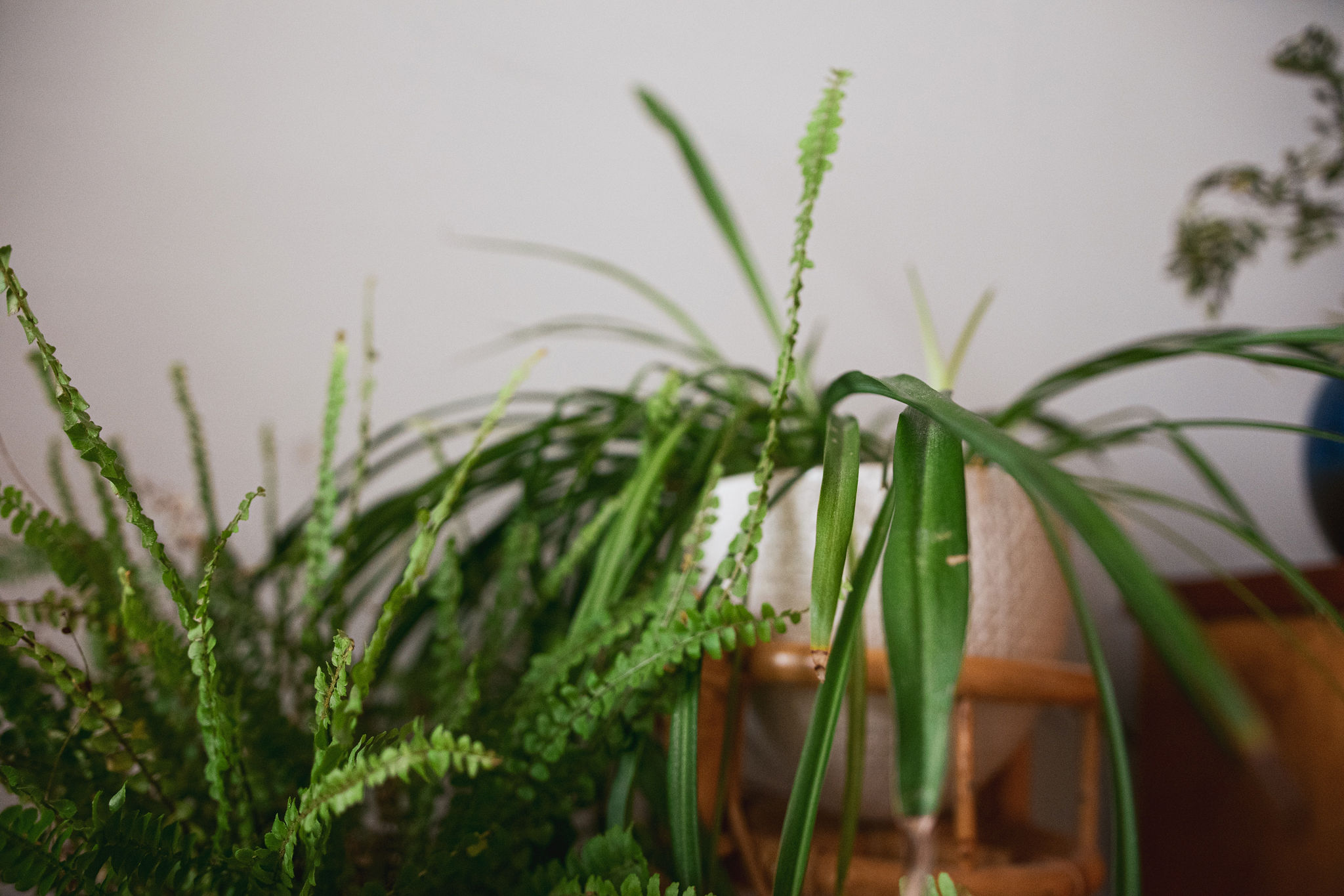 Nature inspired interior at Stiina's family home in Kerimäki, Saimaa