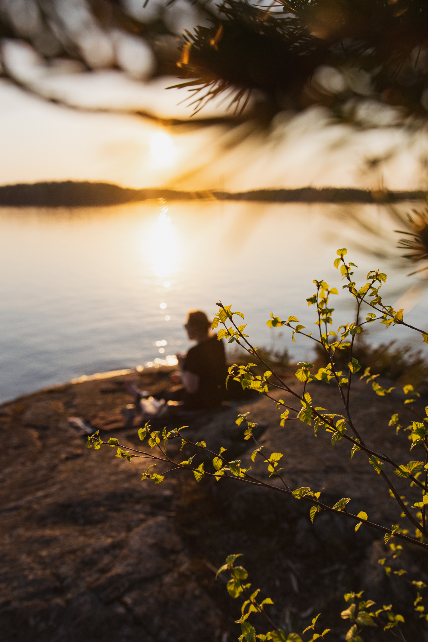 Woman sitting in nature by the lake and watching the sunset in Saimaa, Finland