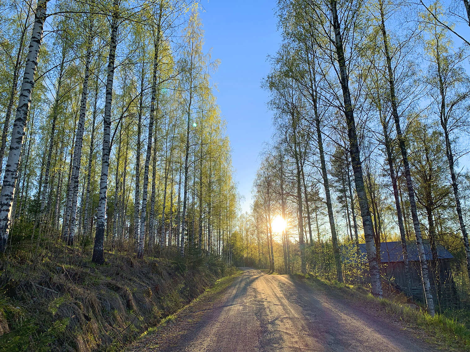 Hear spring in Saimaa travel call and feel refreshed and reborn