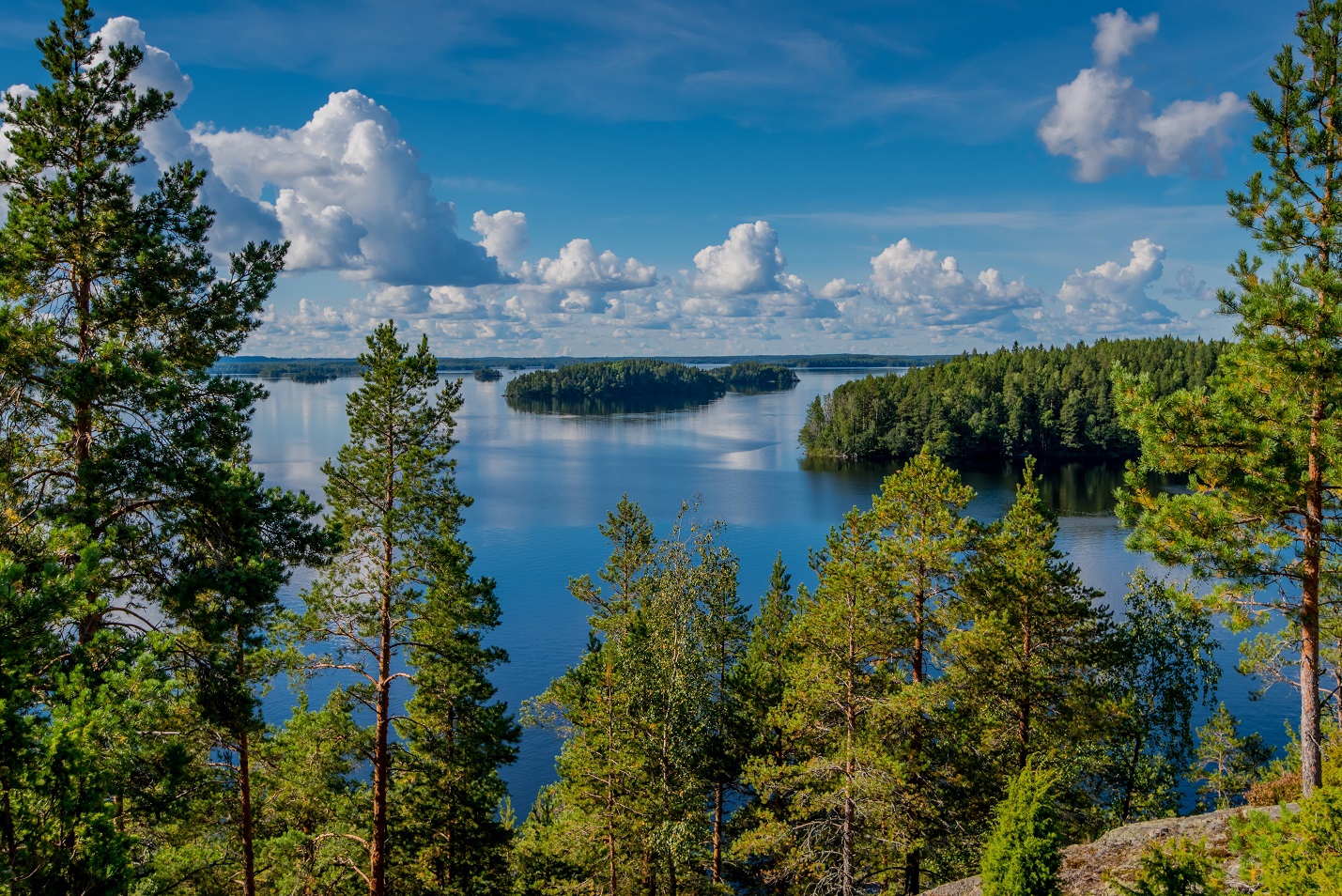 Hear spring in Saimaa and Linnansaari national park travel call and feel refreshed and reborn