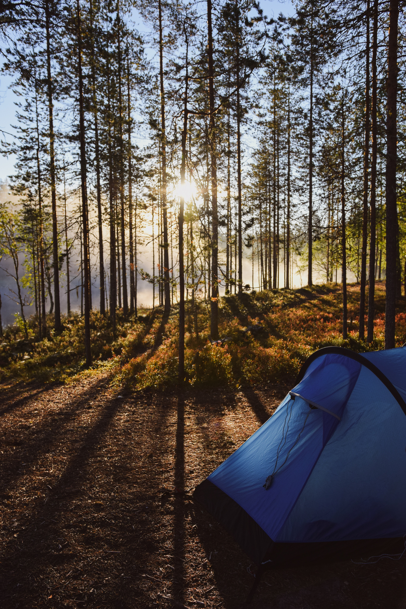 Finnish summer ways to connect with nature and yourself by sleeping outside in a tent