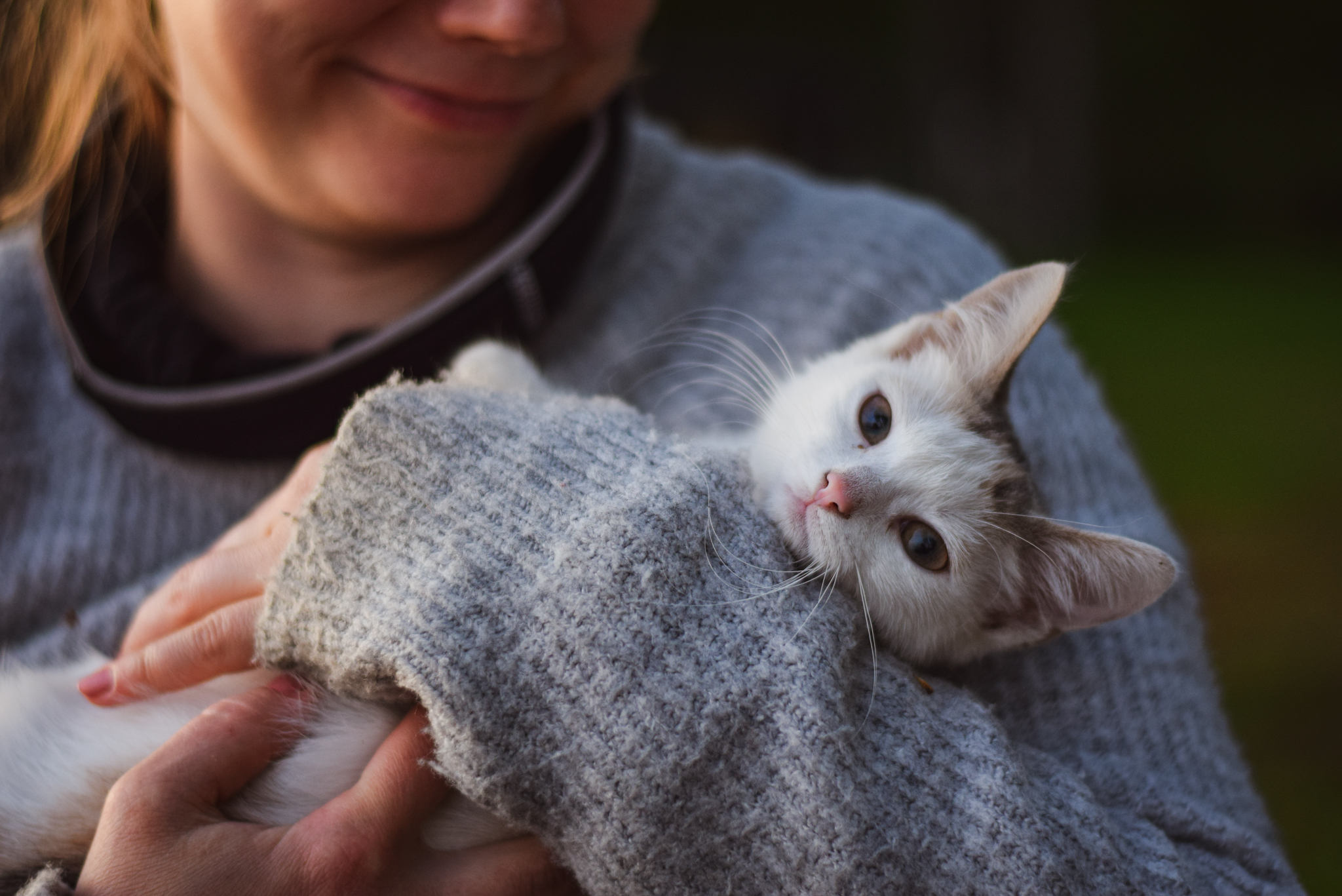 Finnish ways to connect with nature and yourself by spending time with animals