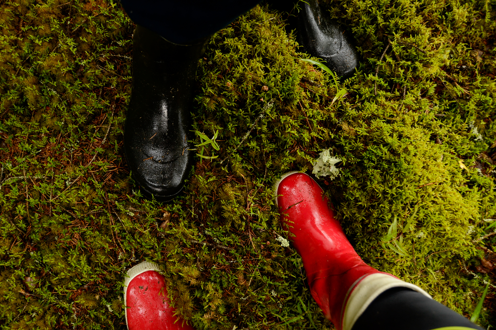 Finnish ways to connect with nature and yourself by listening to the rain and wind