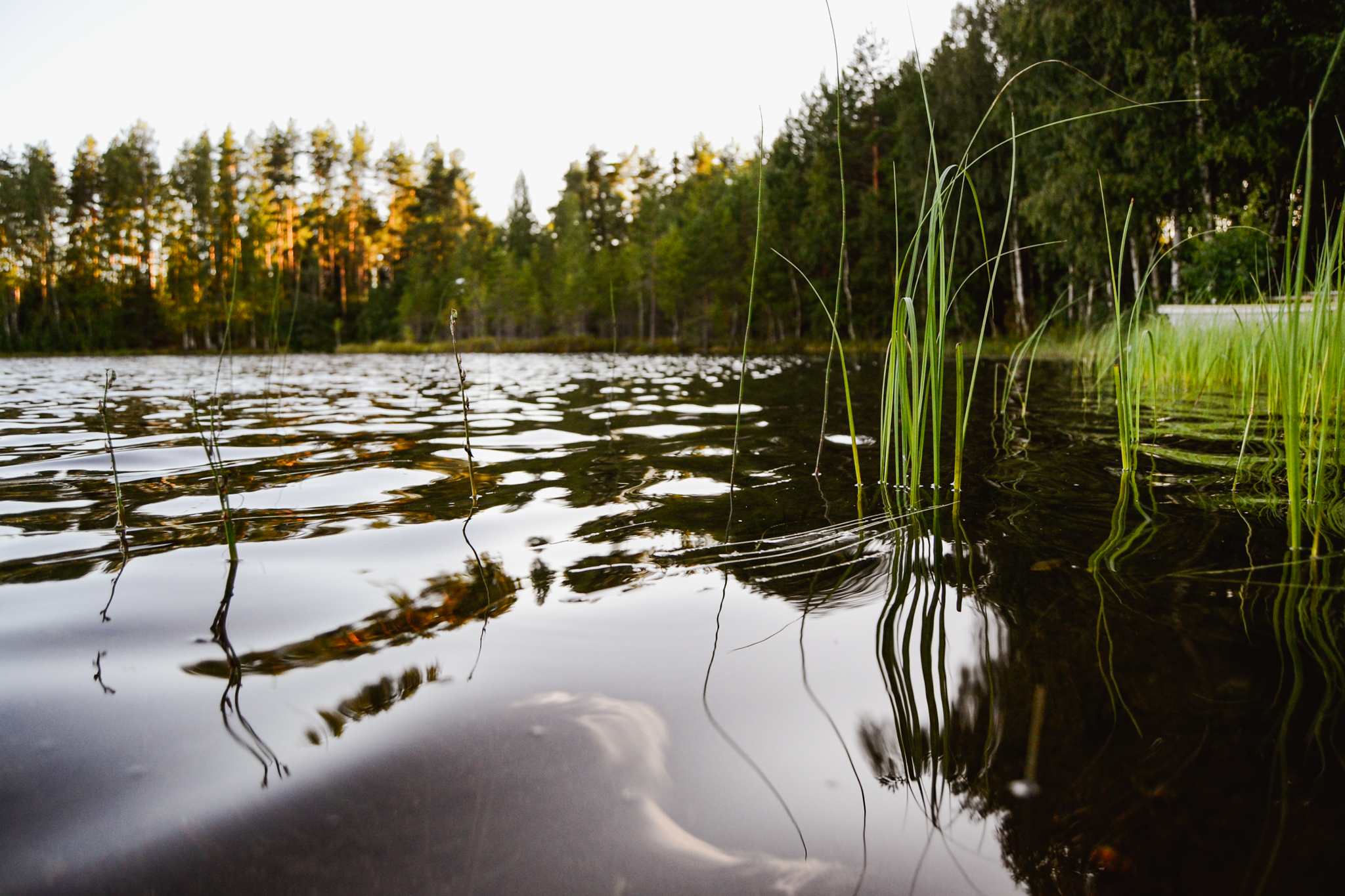 waves of Finnish lake water on calm summer evening