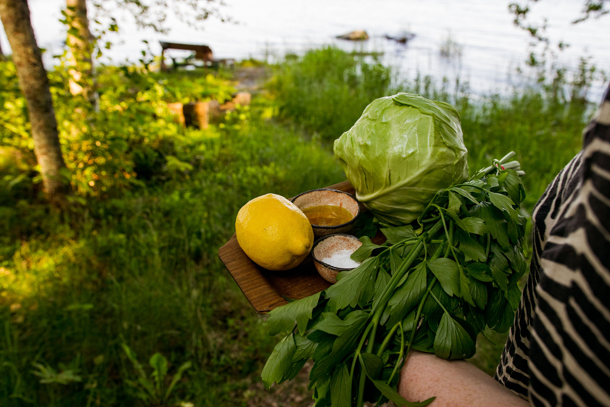 Ingredients of summer recipe for grilled cabbage