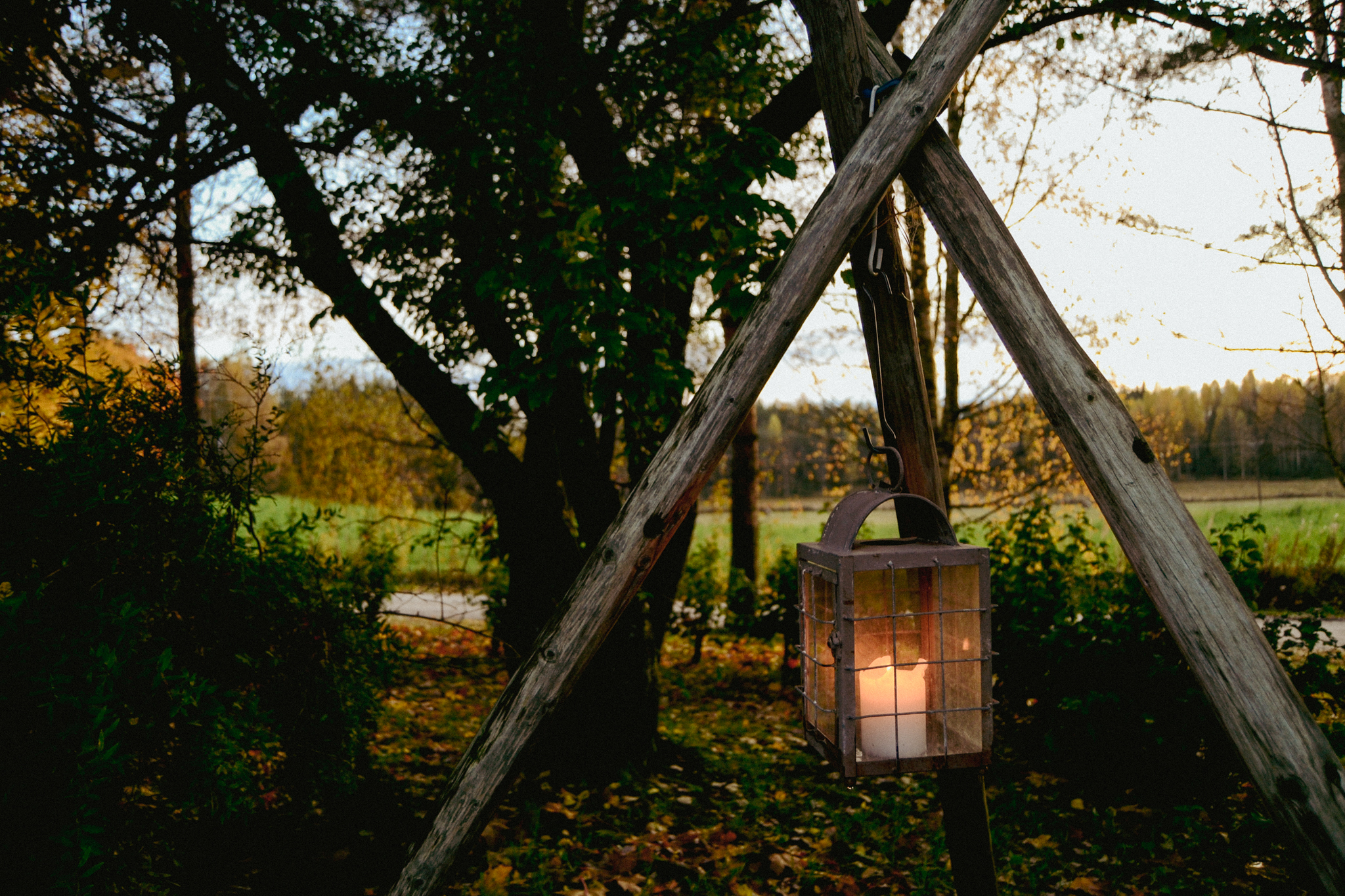 autumn, leaves, colorful. Finland, candle, countryside, outdoors