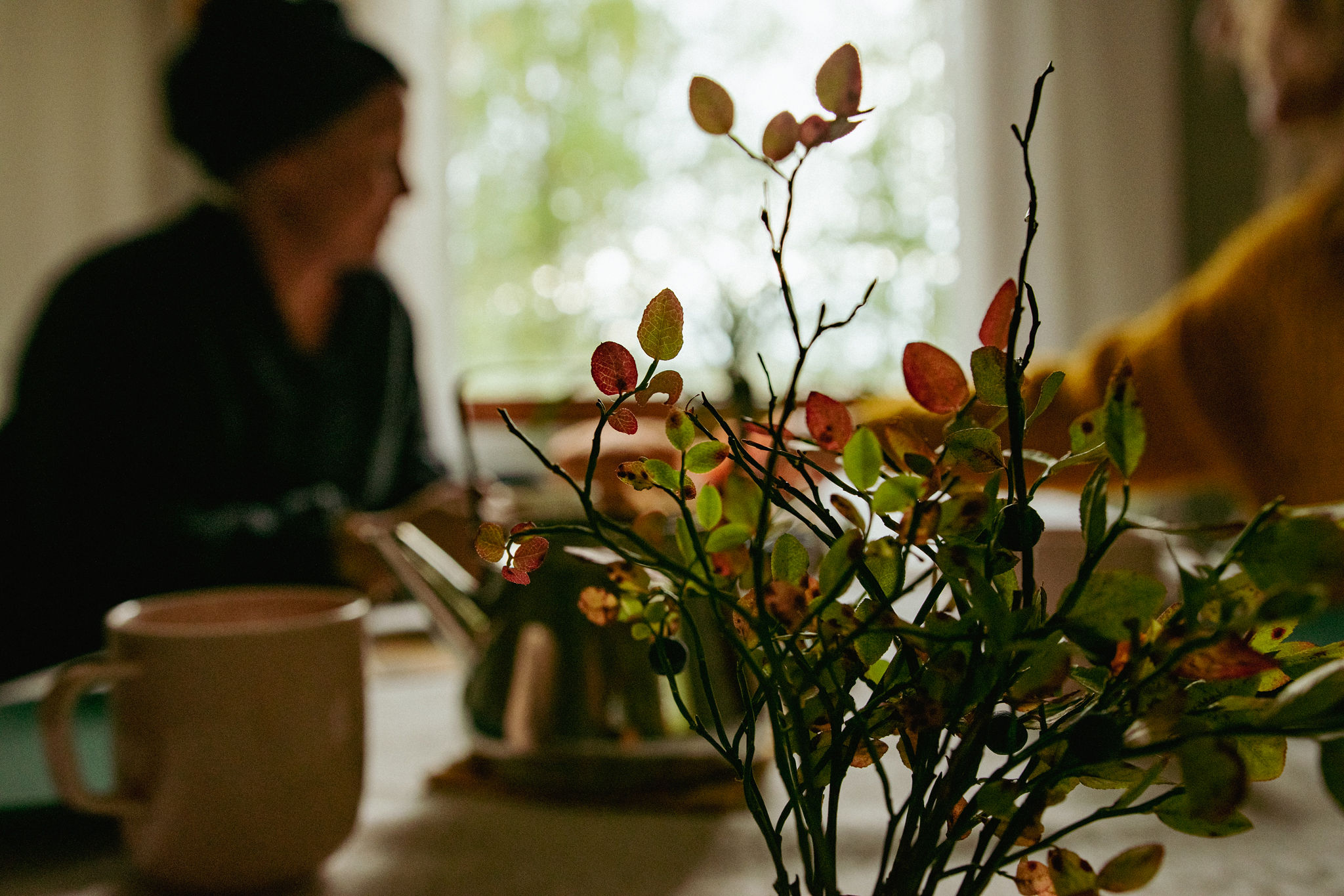 Pieces of nature in Finnish home decor