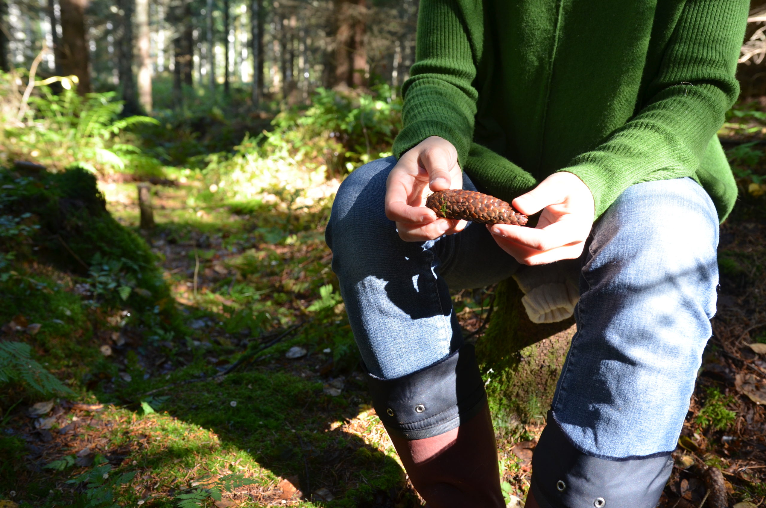 Woman holding a cone in her hands while forest bathing